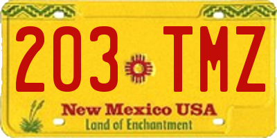 NM license plate 203TMZ