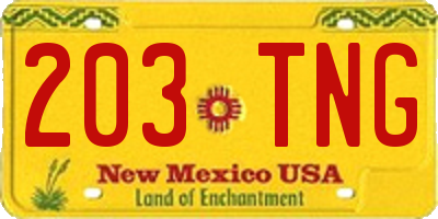 NM license plate 203TNG