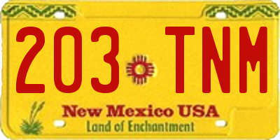NM license plate 203TNM
