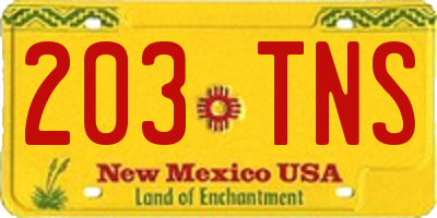 NM license plate 203TNS