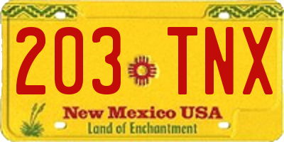 NM license plate 203TNX
