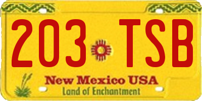 NM license plate 203TSB