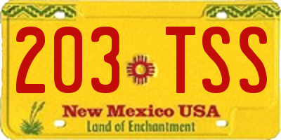 NM license plate 203TSS