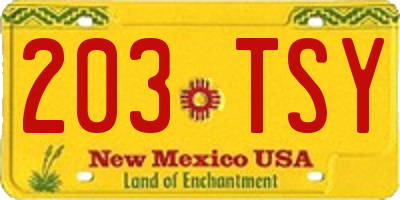 NM license plate 203TSY