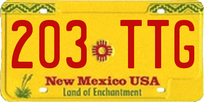 NM license plate 203TTG