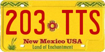 NM license plate 203TTS