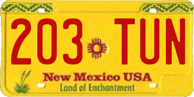 NM license plate 203TUN