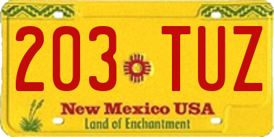 NM license plate 203TUZ