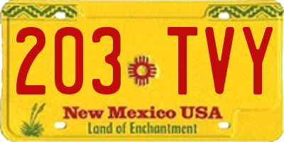 NM license plate 203TVY