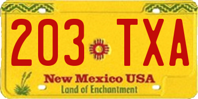 NM license plate 203TXA