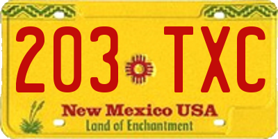 NM license plate 203TXC