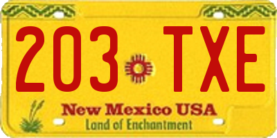 NM license plate 203TXE