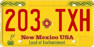 NM license plate 203TXH