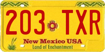 NM license plate 203TXR
