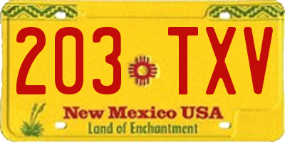 NM license plate 203TXV