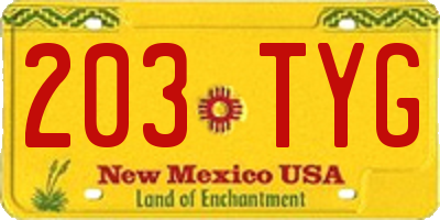 NM license plate 203TYG