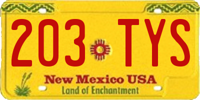 NM license plate 203TYS
