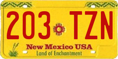 NM license plate 203TZN