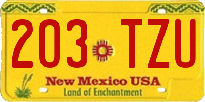 NM license plate 203TZU