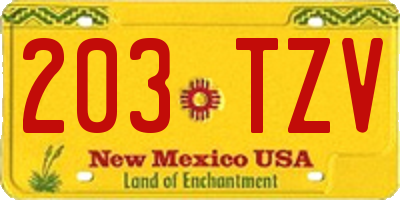 NM license plate 203TZV