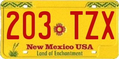 NM license plate 203TZX