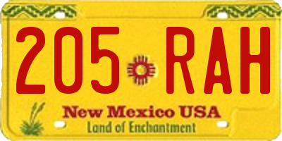 NM license plate 205RAH