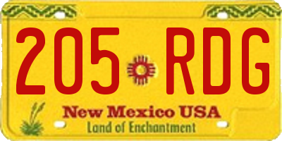NM license plate 205RDG