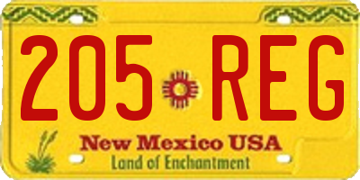 NM license plate 205REG