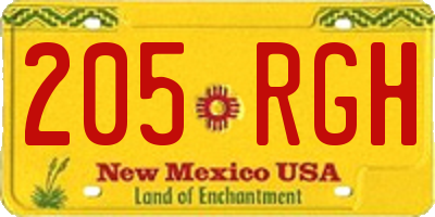 NM license plate 205RGH