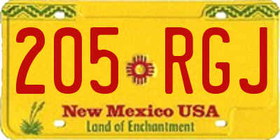 NM license plate 205RGJ