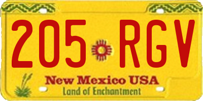NM license plate 205RGV