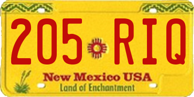 NM license plate 205RIQ