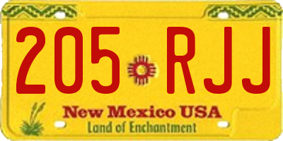 NM license plate 205RJJ