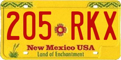 NM license plate 205RKX