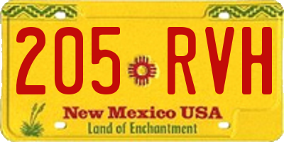 NM license plate 205RVH