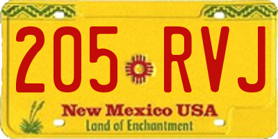 NM license plate 205RVJ