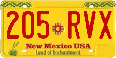 NM license plate 205RVX
