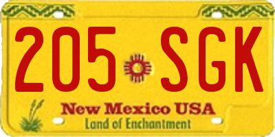 NM license plate 205SGK