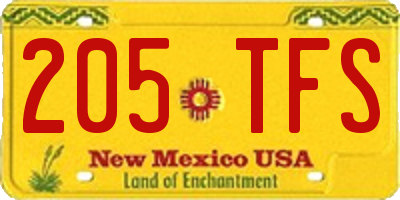 NM license plate 205TFS