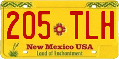 NM license plate 205TLH