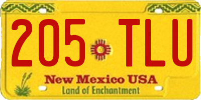 NM license plate 205TLU