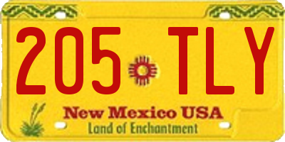 NM license plate 205TLY