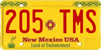 NM license plate 205TMS