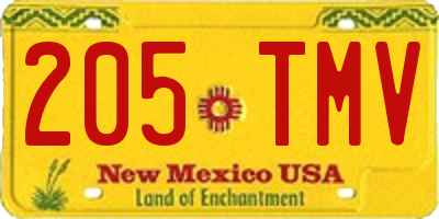 NM license plate 205TMV