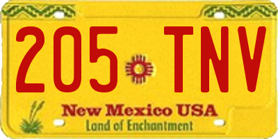 NM license plate 205TNV