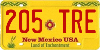 NM license plate 205TRE