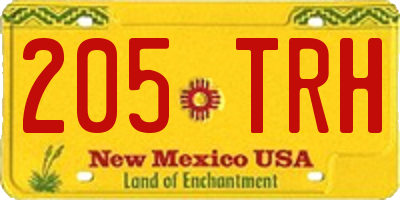 NM license plate 205TRH