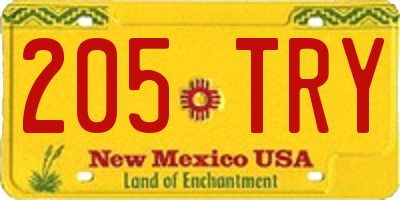 NM license plate 205TRY