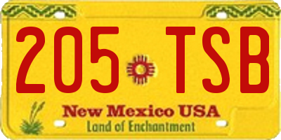 NM license plate 205TSB