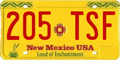 NM license plate 205TSF